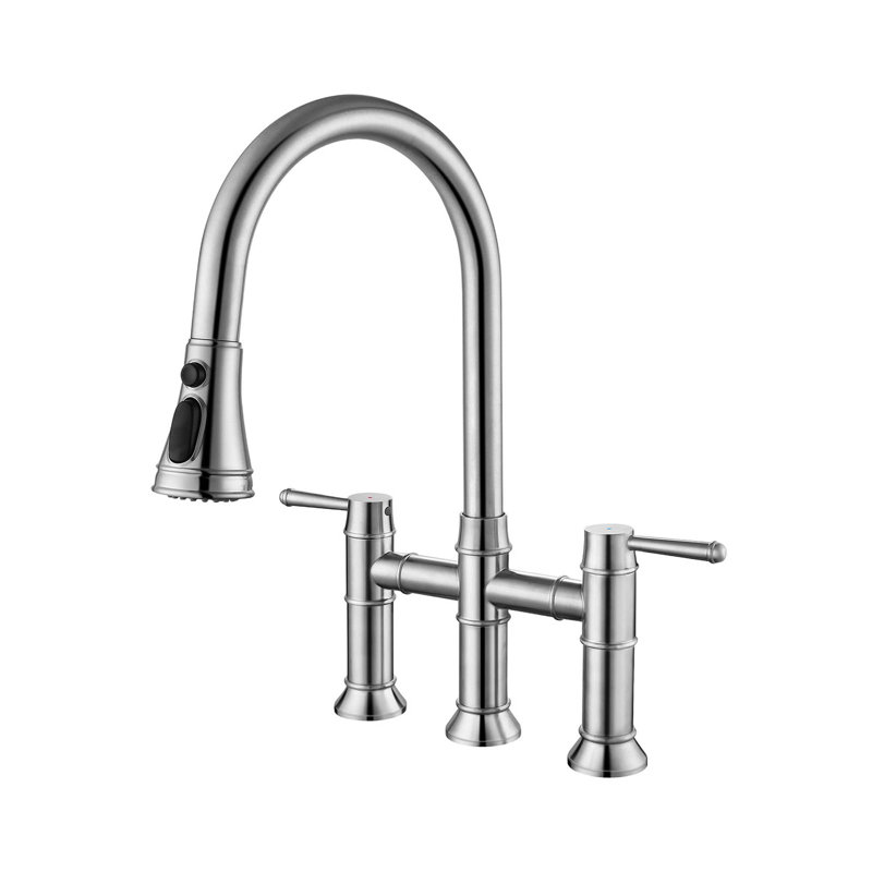 Robinet de cuisine pont en acier inoxydable avec douchette extractible