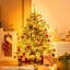 Lighted Artificial Pine Christmas Tree-366253112