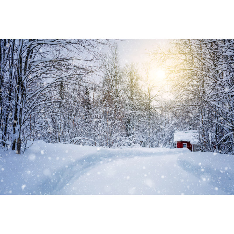 Winter Forest - Wrapped Canvas Print, 61cm H x 91cm W x 3.8cm D