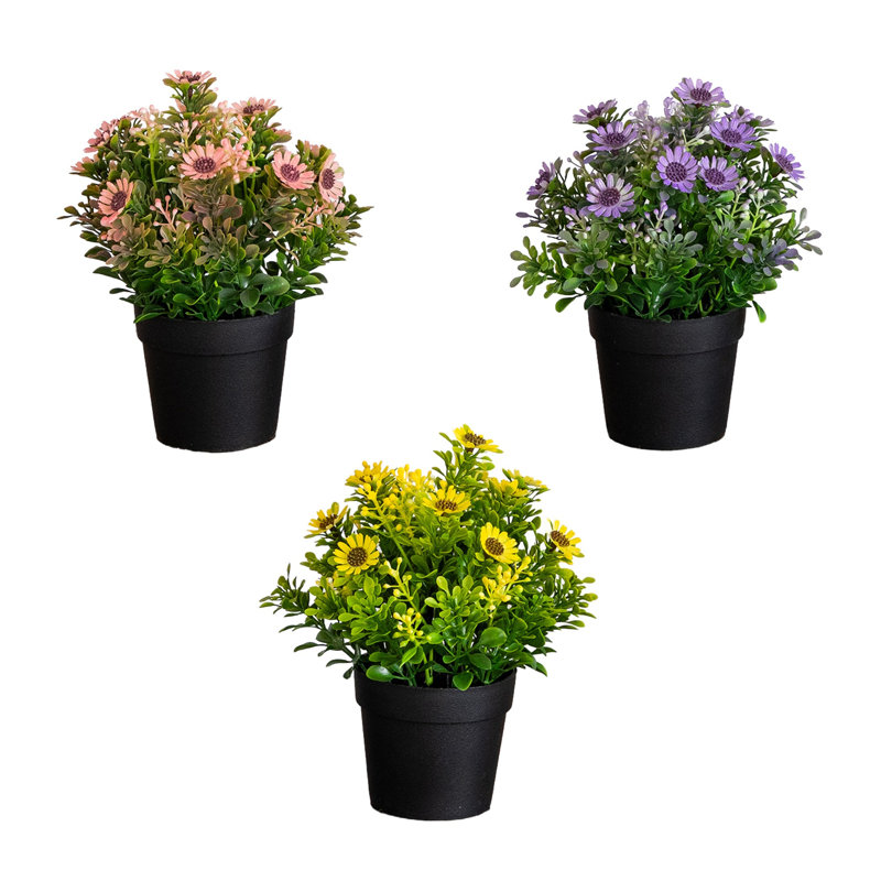 8 po Marguerite artificielle en pot noir - ensemble de 3