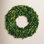 Birch Lane™ Alby 31" Boxwood Wreath