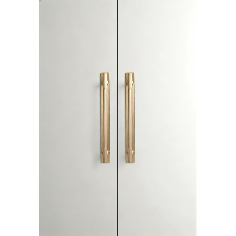 Champagne Bronze Cabinet Pulls With Backplate, Solid Zinc Alloy Drawer Handles For Kitchen And Bedroom Furniture, 2-Pack With Mounting Hardware