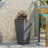 PLANTER-280767676