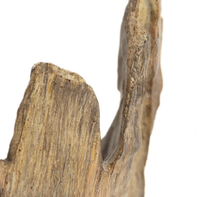 Graham-Bradford Abstract Figurines & Sculptures
