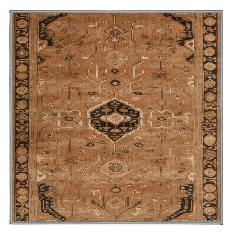 Machine Washable Turkish Brown Area Rug, Square 4'