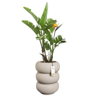 Elho Amber Roll High 43cm