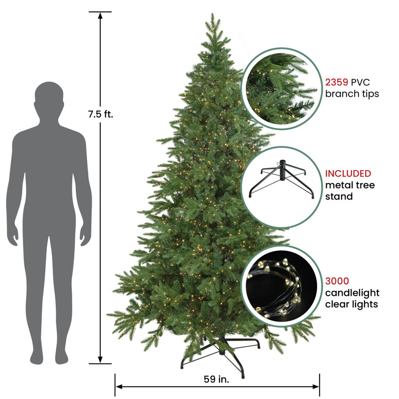 7.5' Pre-Lit Birch River Fir Artificial Christmas Tree Candlelight Clear Lights