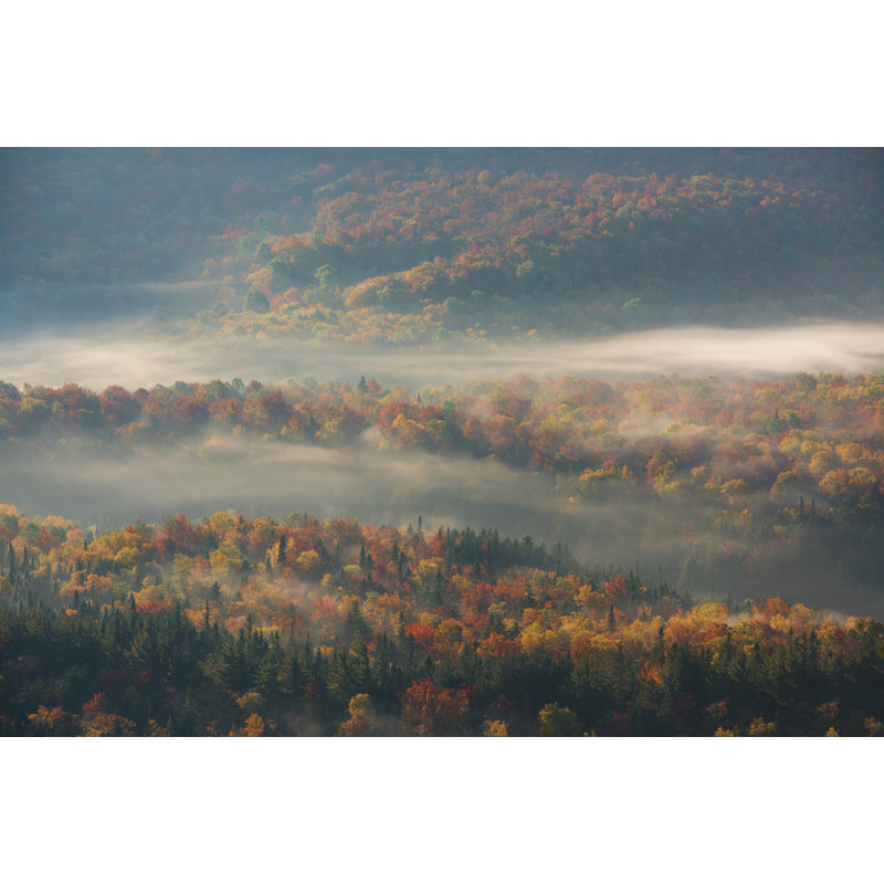 Wrapped Canvas Print, 60.96 cm H x 91.44 cm W