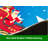 Santa Sleigh Tree Skirt
