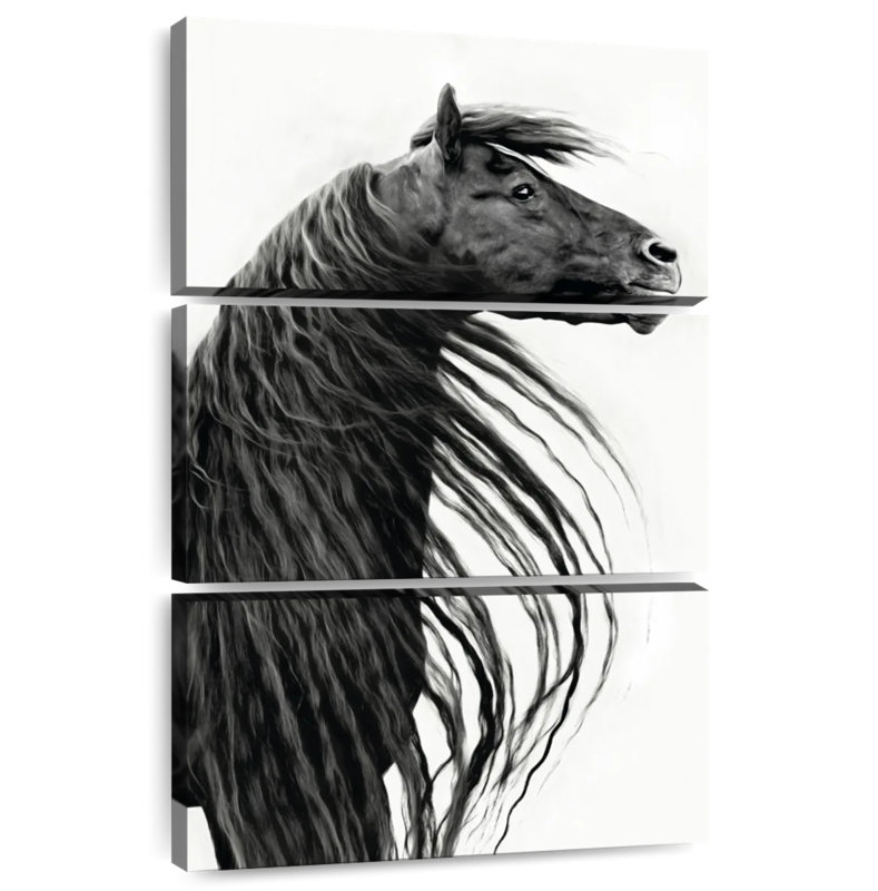 Portrait de cheval Brampt noir et blanc II, H 45 po x l 28 po