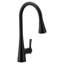 Sinema 3 In 1 Water Filtration Pulldown Kitchen Faucet-1219829030