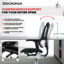 Ergohuman Xtreme Lo Back-1427405746