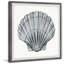 «Pretty Grey Shell», reproduction encadrée-1203747088