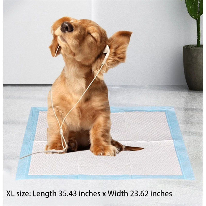 Tapis pour chien (ensemble de 20)