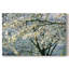 In All Your Glory - Cavas enveloppés de galerie-809748967
