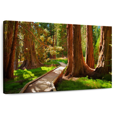 Alvord Reddish Sequoia Forest