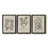 " Antique Black And White Botanical VII " 3 - Pieces-408395205-408395203