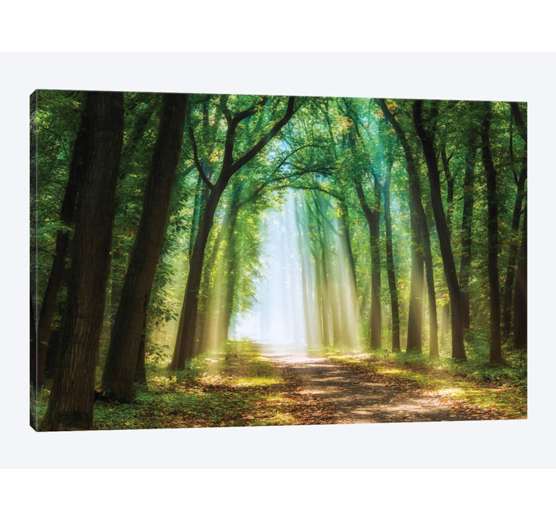 1 Piece Wrapped Canvas Wall Art, 101.6 cm H x 66.04 cm W x 3.175 cm D