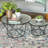 Glass Top Coffee Table-898568623
