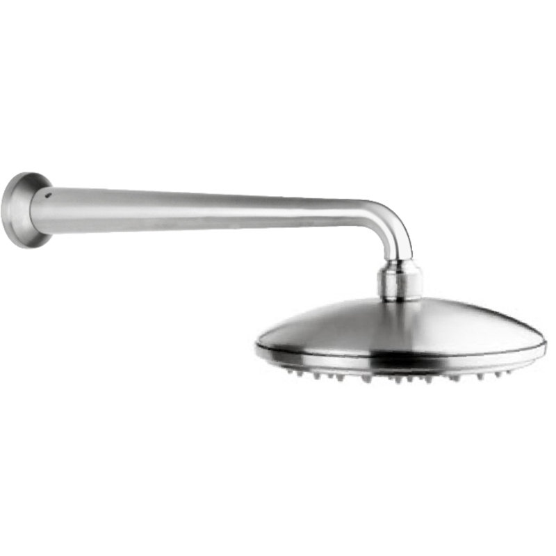 Adjustable Shower Head with Arm