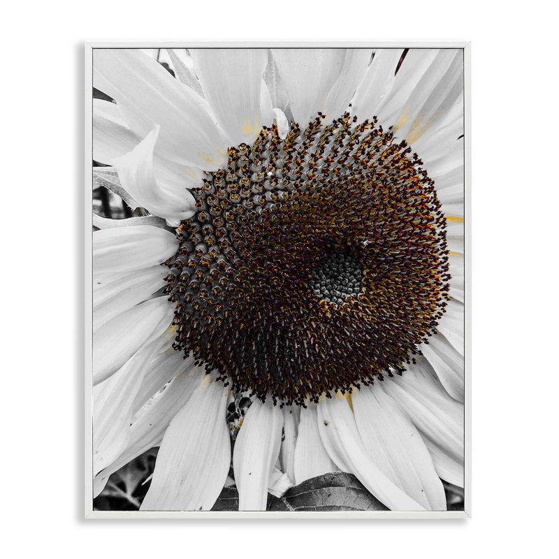 «Flower Pure White Petals», estampe numérique encadrée par Heidi Bannon, H 14 po x l 11 po