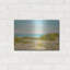«Monomoy View» par Brooke T. Ryan-220831797