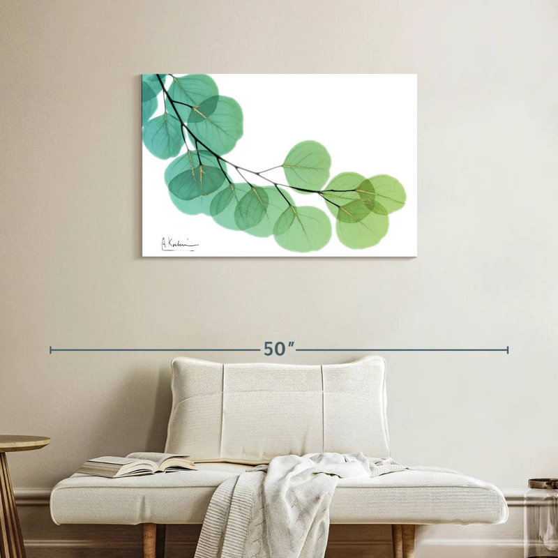 Harnek Golden Eucalyptus, 24" H x 36" W