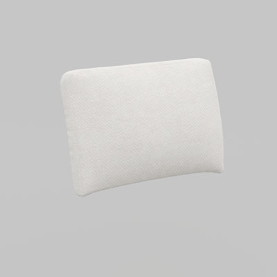 Single back pillow