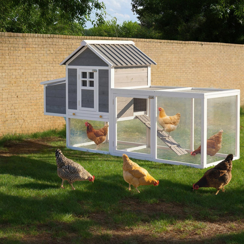12 Square Feet Chicken Coop with Chicken Run and Nesting Box for up to 3 Chickens