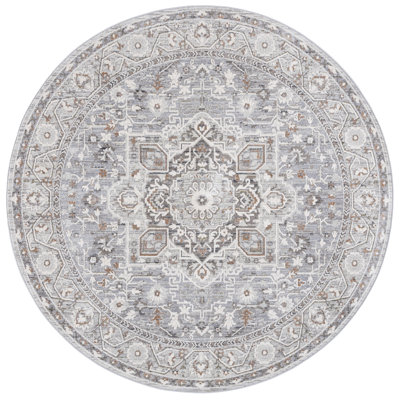 Oriental Area Rug in Grey / Blue