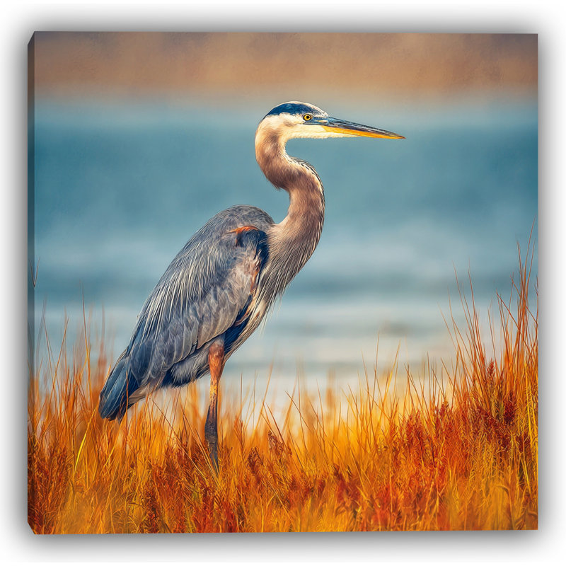 «Autumn Marsh Heron», art mural sur toile tendue, H 40 po x l 40 po