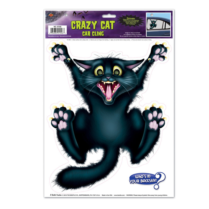 Voiture pour chat fou