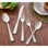 Balance Mirror 20 Piece Flatware Set, Service for 4