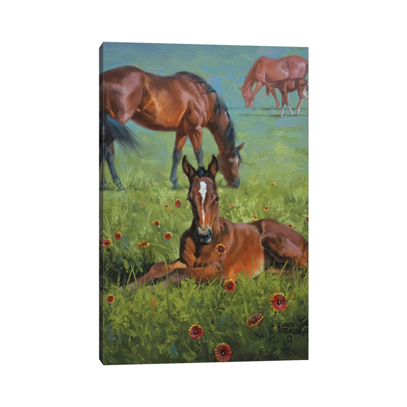 Indian Blanket by Jack Sorenson - Wrapped Canvas Print, 66.04 cm H x 45.72 cm W