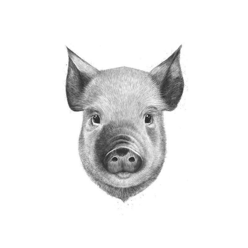 Pig Boy by Valeriya Korenkova - Wrapped Canvas Print, 152.5 cm H x 101.5 cm W