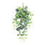 Plante artificielle suspendue lierre Fittonia-1307679569
