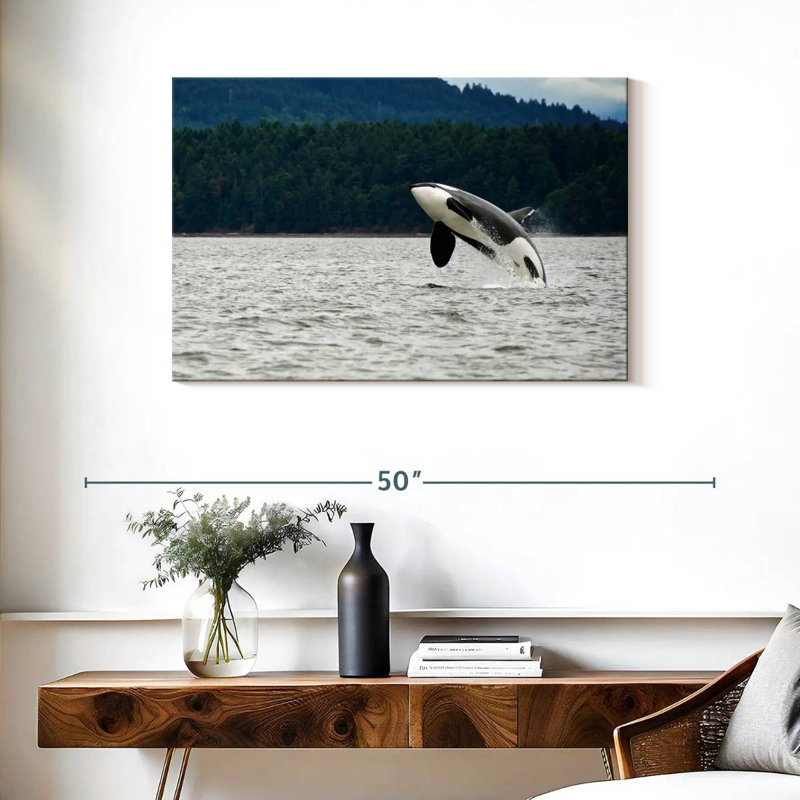Crowle Orca Jumping, 24" H x 36" W