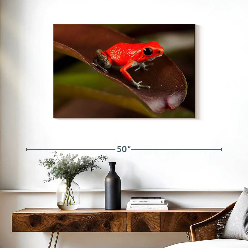 Crowle Poison Frog