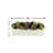 Multi Color Assorted Sedum in Planter-1075619743-1075619712