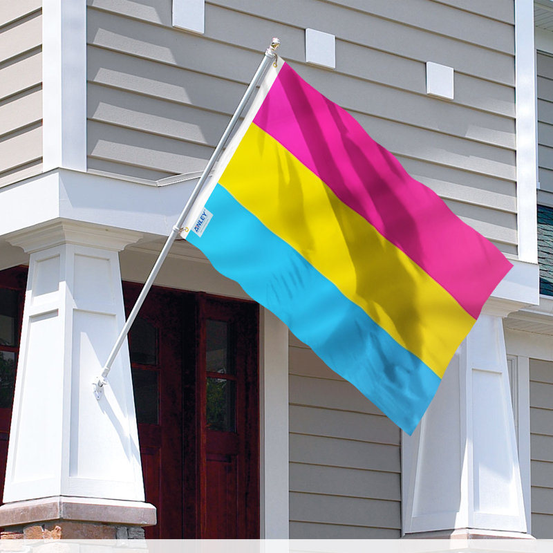 3x5 Foot Pansexual Pride Flag with Brass Grommets