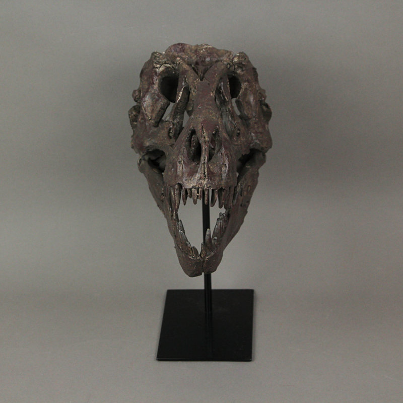 Statue tête de mort en résine coulée Deenya T-Rex Tyrannosaurus Rex avec finition vieillie foncée peinte à la main sur support de musée en métal noir - L 10 po x l 6 po x H 12 po