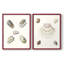 Pastel Knorr Shells III - reproduction encadrée de qualité supérieure - prête à être accrochée - aucun clou requis - aucun clou requis-2033294224-2033294253