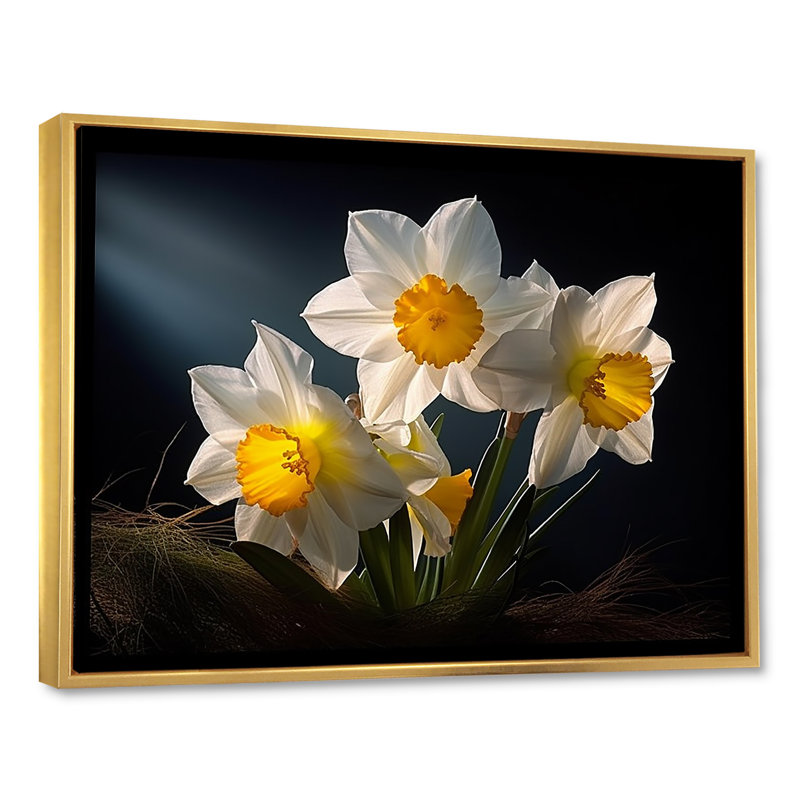 Fleur de jonquilles blanches et jaunes, Cadre flottant doré, H 30 po x l 40 po