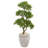 43'' Faux Bonsai Tree in Stone Planter