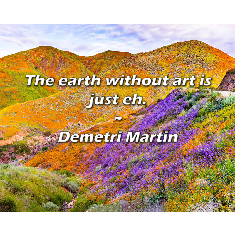 Citation artistique «La terre sans art, c'est juste hein». Toile tendue par Demetri Martin