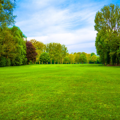 " Green Field, Beautiful Landscape "