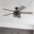 Carnegie 52" Ceiling Fan with LED Lights and Remote Included-1284214530