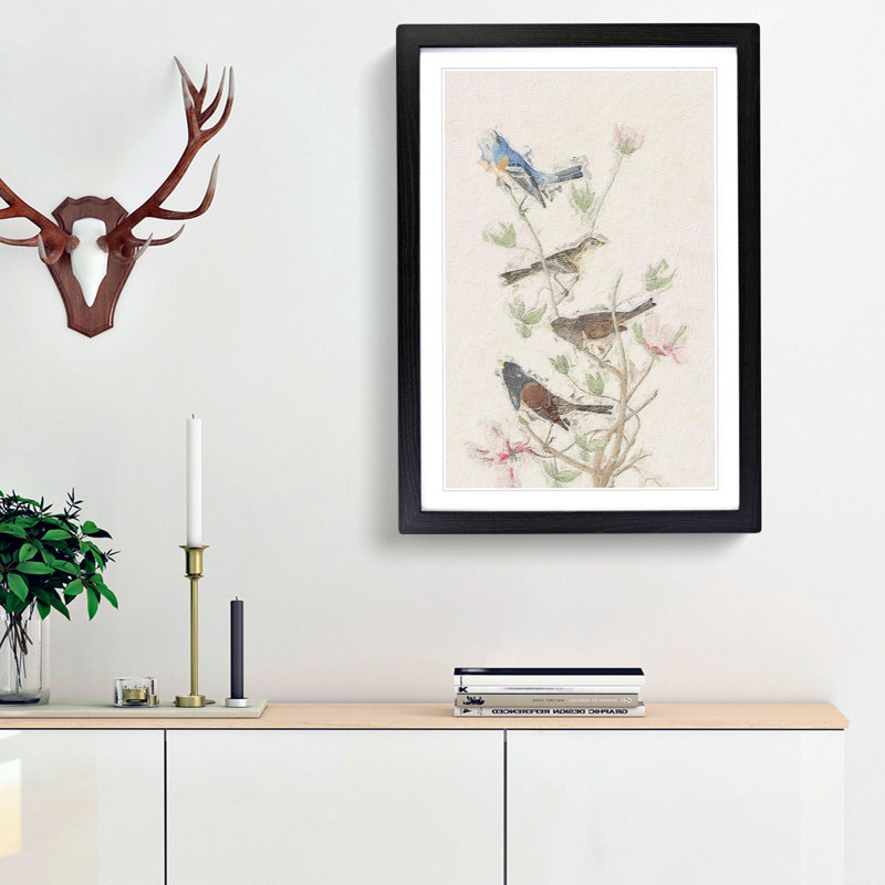A Collection Of Finch Birds by John Audubon - Single Picture Frame Painting, Black Framed, 45cm H x 33cm W x 2cm D