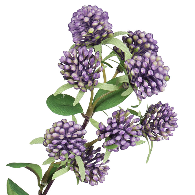 Tige de baies sauvages, Mauve