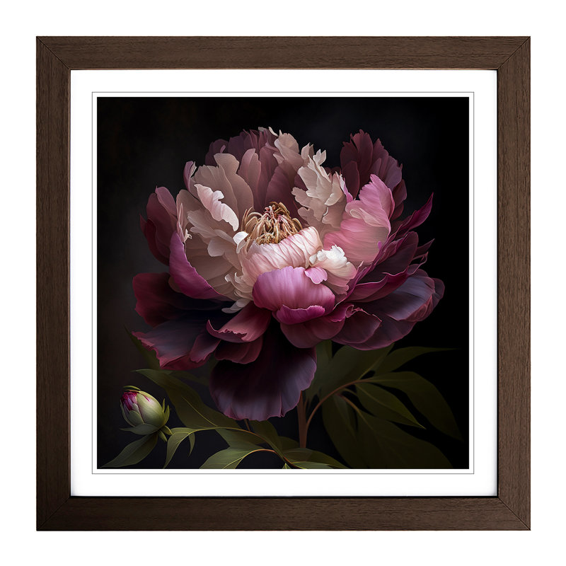 Peony Flower - Framed Print, Walnut
